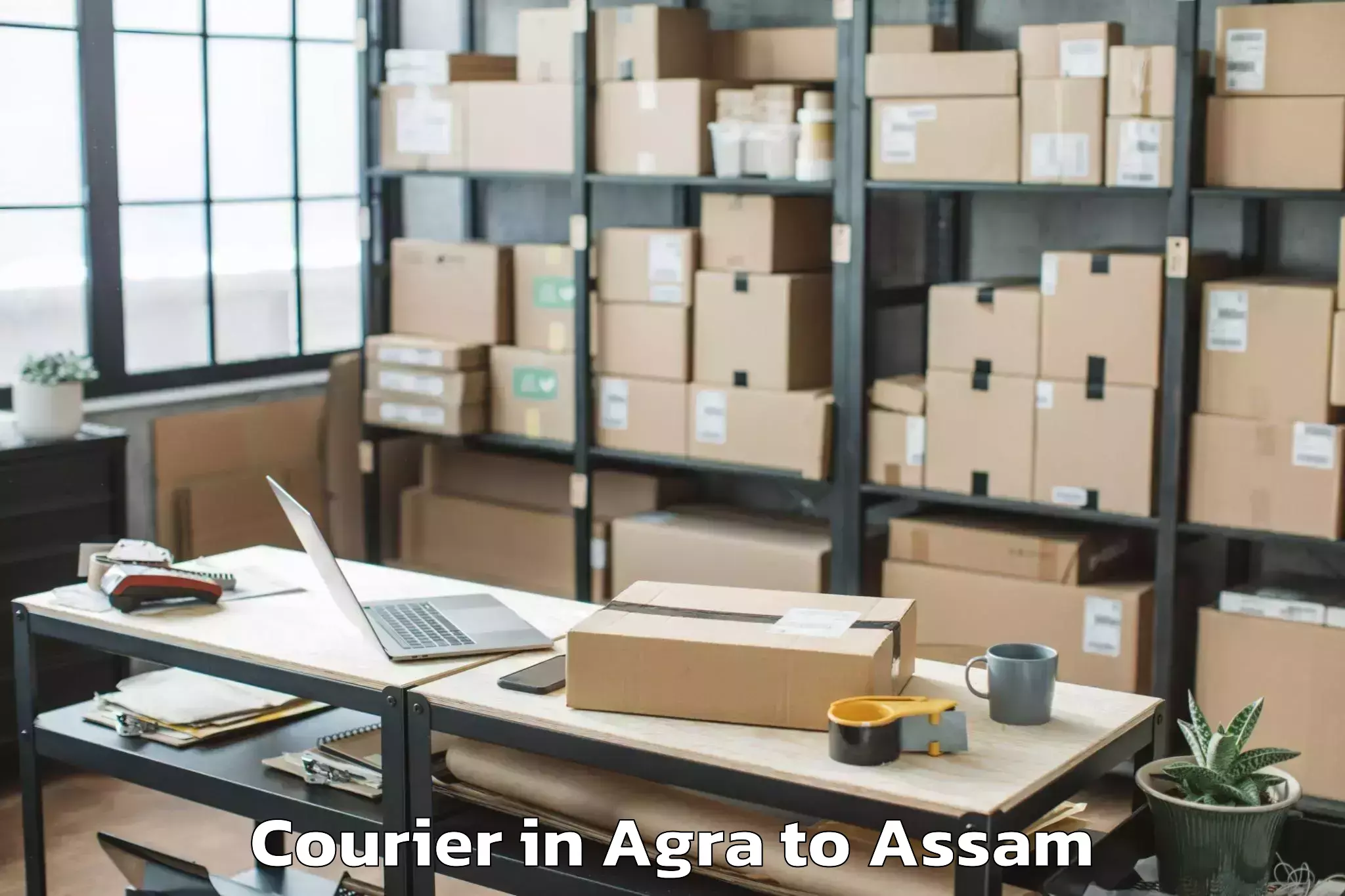 Expert Agra to Lumding Railway Colony Courier